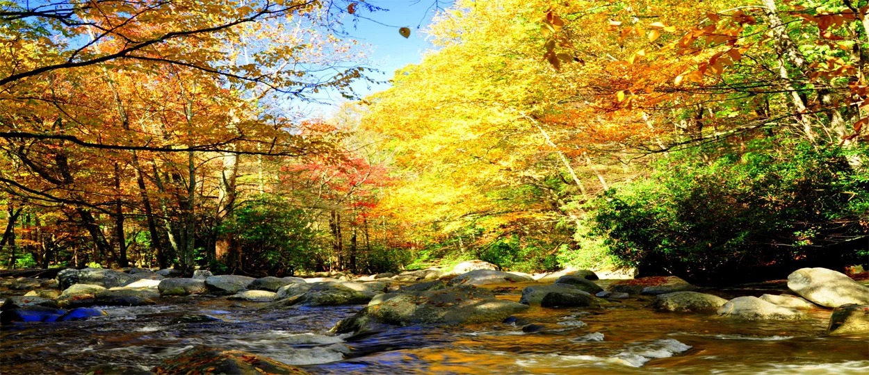 The Pigeon River near Gatlinburg.