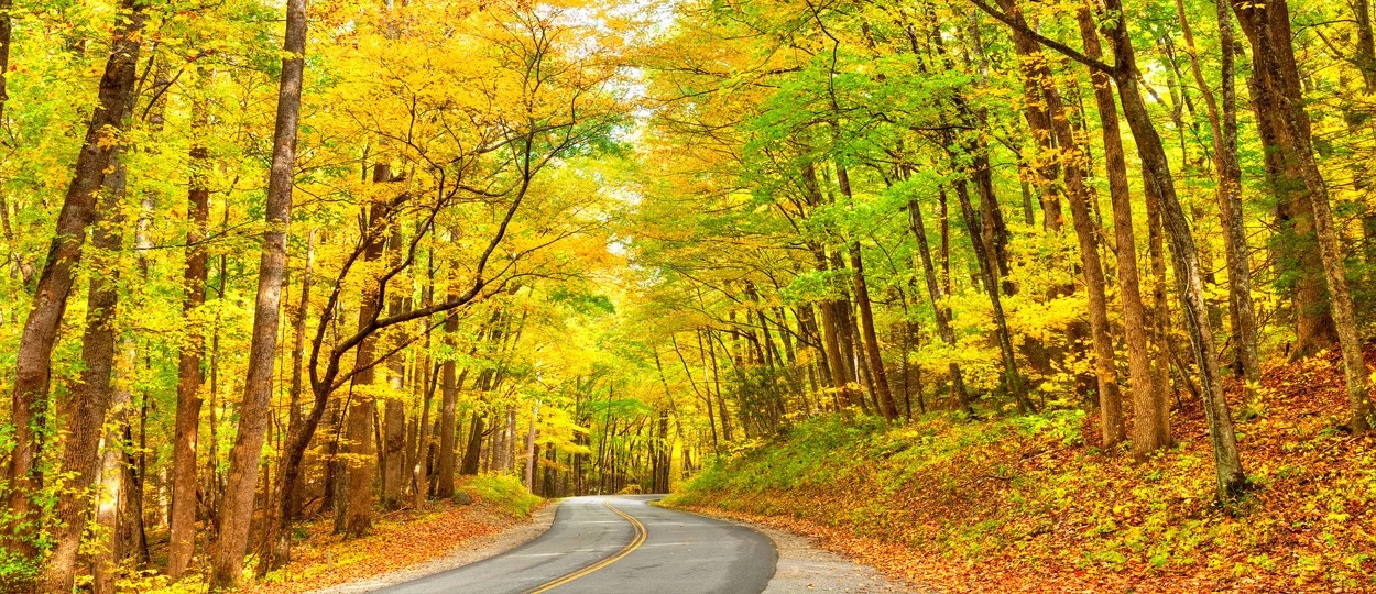 The Pigeon River is lined with trees.