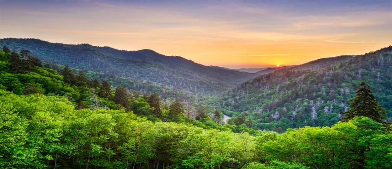 Near the Great Smoky Mountains and Pigeon Forge.